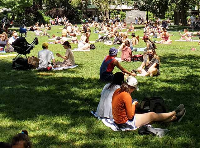Vital Parks for All