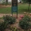 Tom Stofka Garden