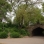 Prospect Park