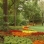 10-23-03 Mums in Central Park South1.jpg