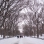 65123 02-18-03 Central Park after Blizzard 05.jpg
