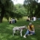 07-19-03 Woman with dog CP .jpg