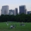Great Lawn