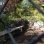 Sneak Peek at Jackie Robinson Garden