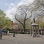 Tompkins Square Park