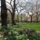 Tompkins Square Park