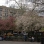Tompkins Square Park
