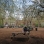 Tompkins Square Park dog run