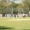Cricket in Baisley Pond Park