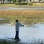 A Boy Fishes at Baisley Pond