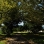 Baisley Pond Park