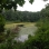 Forest Park