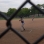 Forest Park Baseball Field
