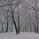 Forest Park-3-19-04  Winters last gasp...I  hope