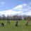 65170 04-21-03 Forest Pk golf course.jpg