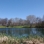 65170 04-21-03 Forest Pk.jpg