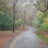 Park Drive East (Closed Road)