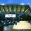 US Open Fun