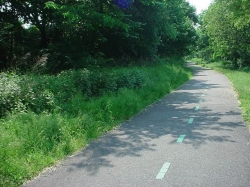 Kissena