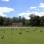 clove lakes pk01.jpg