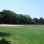 Frisch Field in Bronx Park