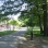 Allerton Fields in Bronx Park