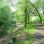 Bronx River Parkway West