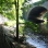 Bronx River Parkway West