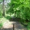 Bronx River Parkway West