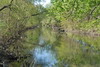 Enjoy a multimedia exploration of the Bronx River that includes 360-degree panoramic imagery and streaming video interviews.