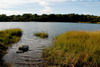 Such a large park requires a bit of strategizing before a visit. Take our virtual tour and get a feel for some of the highlights at Pelham Bay Park.