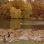 Geese by the Lake