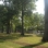 The Park in Summer