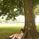 A Girl under a Tree