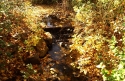 Prospect Park in Fall