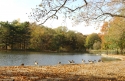 Prospect Park in Fall
