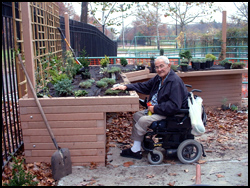 wheelchair accessible garden