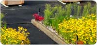 Green Roof with flower beds