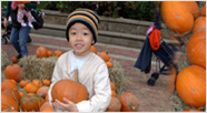 Photo of boy and pumpkins at the Great Halloween Party in Central Park