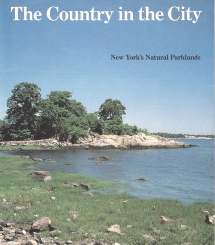 Grassy Beach with Rocks, Trees in the Background, Cover of Country in the City