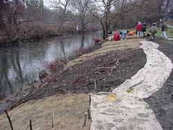 Photograph of Shoelace Park, Bronx River Bioengineering demonstration project