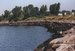Photograph of the Soundview Park Salt Marsh restoration area