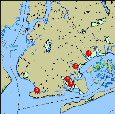 Map of Brooklyn restoration sites