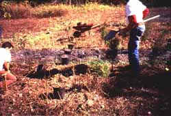Photograph of a Forest Restoration Team at work, link to enlarge image