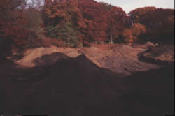 Photograph of Twin Fields Kettle Pond restoration project area 