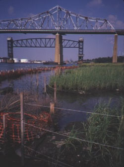 Photograph of Arthur Kill/ Kill Van Kull deepening salt marsh and surrounding area