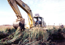 Photograph of a construction vehicle removing land in Saw Mill Creek Salt Marsh