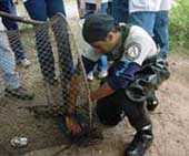 Photo of AmeriCorps volunteer
