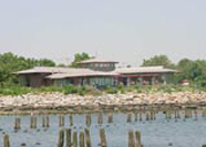 thumbnail of The Salt Marsh Nature Center, link to enlarge photo