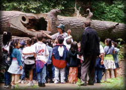 Photo of Ranger teaching group of children